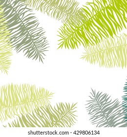 Vector illustration leaves of palm tree
