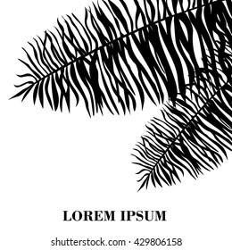 Vector illustration leaves of palm tree