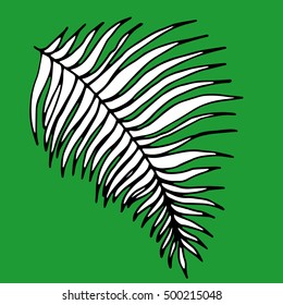 Vector illustration leaves of palm tree