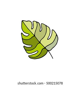 Vector illustration leaves of palm tree