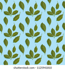 Vector illustration of leaves pattern. Floral organic background