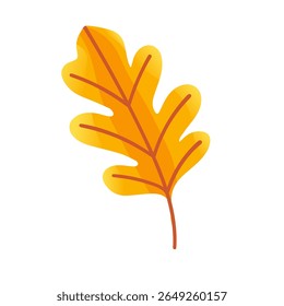 Ilustración vectorial de hojas, pino, roble, arce, aislado sobre fondo blanco. Adecuado para el diseño botánico y Elementos decorativos.