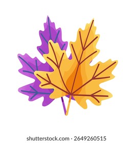 Ilustración vectorial de hojas, pino, roble, arce, aislado sobre fondo blanco. Adecuado para el diseño botánico y Elementos decorativos.