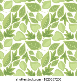 Vector illustration of leaves seamless pattern. Natural background with green leaves