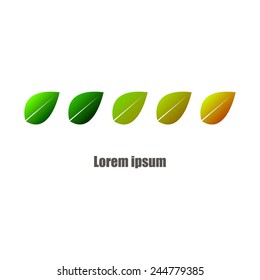 Vector illustration of Leaves. Seasons.