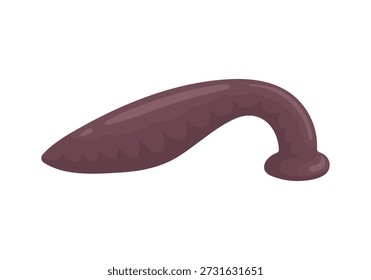 Vector illustration of a leech isolated on white background. Symbol of hirudotherapy, alternative and traditional medicine, natural healing and medical treatment. Ideal for healthcare, education and infographic design.