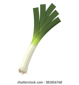 Vector illustration of  leek