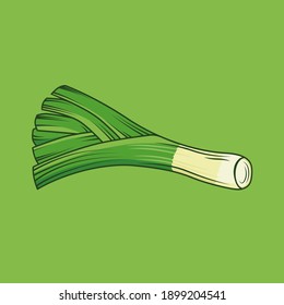 vector illustration of leek on green background