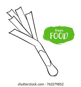 Vector illustration of a leek. Sketch, outline. Coloring on the topic of vegetables. Fresh food
