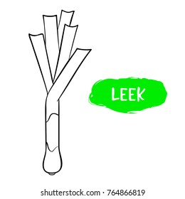 Vector illustration of a leek. Sketch, outline. Coloring on the topic of vegetables. Fresh food