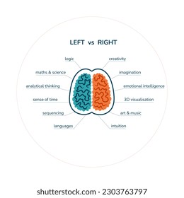 Vector illustration of left vs right minded brain. Characteristics of right and left hemispheres of human brain.