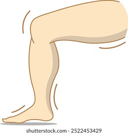 Vector illustration of a leg