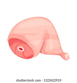 Vector illustration of leg and chicken logo. Set of leg and hip stock symbol for web.