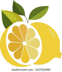 ilustración vectorial de un limón