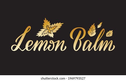 Vector illustration of lemon balm lettering for packages, product design, banner, spice shop, pharmacy price lists. Handwritten phrase with leaves for web or print
