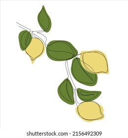 ilustración vectorial del plano continuo de una sola línea de la rama del limón. rama limón minimalista