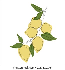 vector illustration of lemon branch continuous single line drawing. minimalistic lemon branch