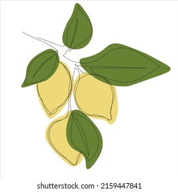 vector illustration of lemon branch continuous single line drawing. minimalistic lemon branch