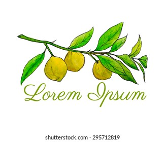 Vector illustration of lemon branch painted by hand in watercolor. Beautiful logo design element, perfect for any business related to the food industry.