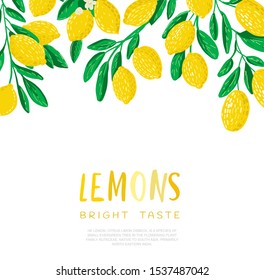 Vector illustration of lemon. Bright taste. Juice, sour yellow