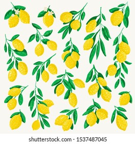 Vector illustration of lemon. Bright taste. Juice, sour yellow