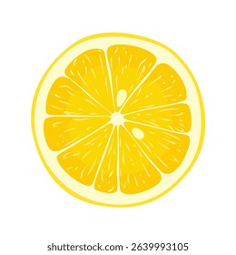 Vector illustration of a lemon cross section