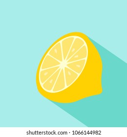 Vector illustration of lemon. Flat design with long shadow