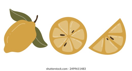 Vektorgrafik von Zitrone im flachen Stil. Ganze saftige Frucht, Scheibe und Kreis von gelben Zitrusfrüchten. Öko-Lebensmittel-Clipart für Verpackungen, Textildesign, Logos