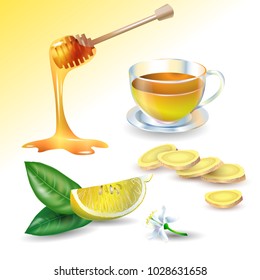 Vector illustration of lemon, flower and lemon leaf, honey and slices of ginger, glass cup of herbal tea isolated on light background.  Design for juice, tea,  cosmetics, menu, healthcare products. 