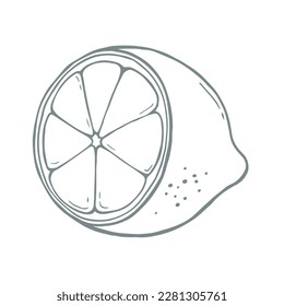 Ilustración vectorial del fruto del limón sobre fondo de color blanco. Diseño de estilo de arte de línea plana de limón de corte blanco y negro para web, banner, afiche, impresión