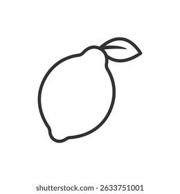 Vector illustration of an lemon fruit on a white background