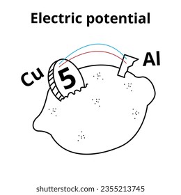 Vector illustration of a lemon generating electric potential, illustration of an experiment in electromagnetism for the study of physics, science, school.