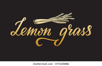 Vector illustration of lemon grass lettering for packages, product design, banner, spice shop, pharmacy price lists. Handwritten phrase for web or print
