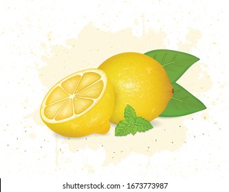 vector illustration of vector lemon with green leaves