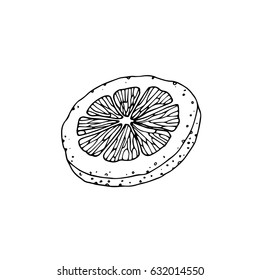 Vector illustration of lemon icon, logo, corporate identity, Botanical pattern on a white background, isolated.