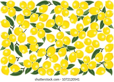 vector illustration of lemon and leaf design background white and fruit EPS10