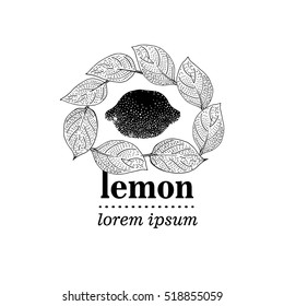 Vector illustration of Lemon Leaves