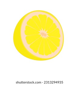 vector illustration of a lemon. Lines art tropical fruit, doodle realistic