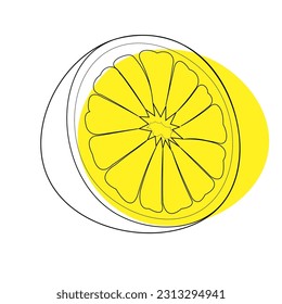 vector illustration of a lemon. Lines art tropical fruit, doodle realistic