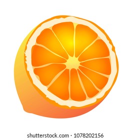 Vector illustration of a lemon. On a white background.
