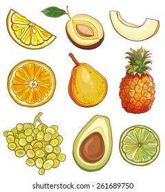 Vector illustration of lemon, plum, melon, orange, pear, pineapple, grapes, avocados, lime. Vector set with fruits and berries:  yellow, green and orange. eps 10