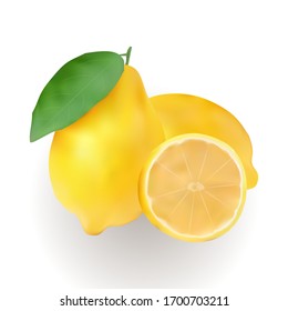 Vector illustration of a lemon with real colors.