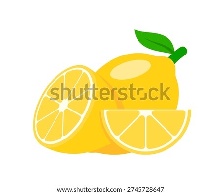 vector illustration of lemon slice