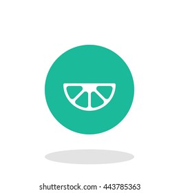 Vector illustration of lemon slice icon