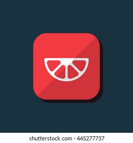 Vector illustration of lemon slice icon