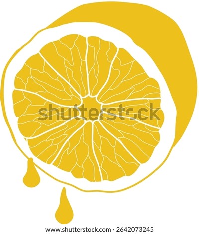 vector illustration of a lemon, slice of lemon with juice drops	
