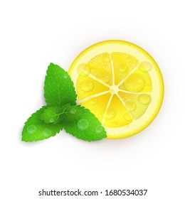 Vector Illustration. Lemon slice with mint leaves and water drops. Flat style. Elements for natural designs.
