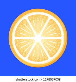 Vector illustration of lemon slice. Textured, drawn style.