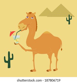 vector illustration of lemonade drinking camel on the background of pyramids and cactus