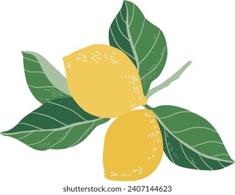 Vector illustration of lemons with leaves on a white background.
